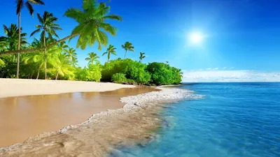 Пазл «Солнце, море, пальмы» из 220 элементов | Собрать онлайн пазл №171575