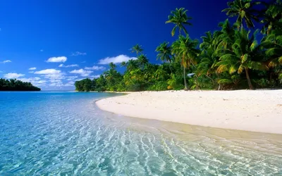 Картинка Море пальмы пляж » Пляж » Природа » Картинки 24 - скачать картинки  бесплатно