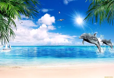 Обои на рабочий стол Шляпа из соломы с солнечными очками, на заднем фоне  пальмы, пляж, море, небо, обои для рабочего стола, скачать обои, обои  бесплатно