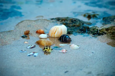 В Италии туристы массово выносят с пляжей песок и ракушки - РИА Новости,  23.08.2021