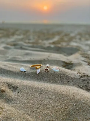 Море, песок, ракушки» — создано в Шедевруме