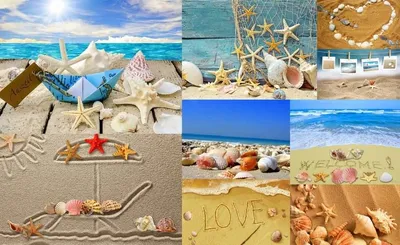 ракушки на песчаном пляже океана с фоном голубого неба, морской берег,  путешествия вода, море фон картинки и Фото для бесплатной загрузки