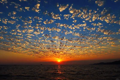 Морской пейзаж вечер закат закат море фотография карта с фотографиями Фон И  картинка для бесплатной загрузки - Pngtree