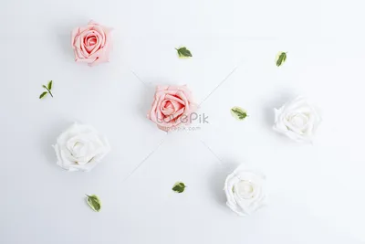 Розовый Цветок Венок Из Искусственных Роз Изолированы На Белом Фоне —  стоковые фотографии и другие картинки Цветок - iStock