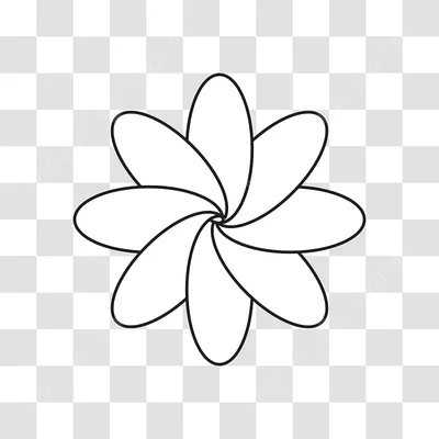 белые цветы на прозрачном фоне PNG , прозрачные значки, белые значки,  фоновые иконки PNG картинки и пнг рисунок для бесплатной загрузки