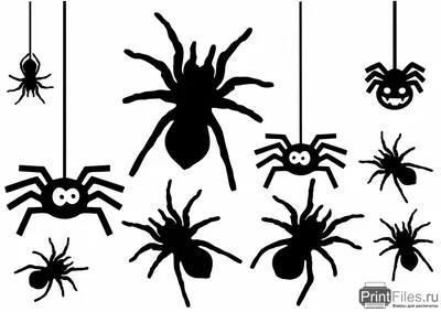 Картинки на хэллоуин пауки