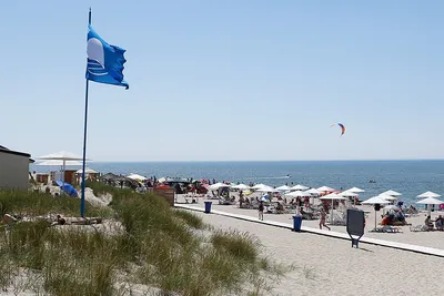 Пляжи в Анапе в 2024 году: цены, обзор, фото, отзывы и где лучше  остановиться