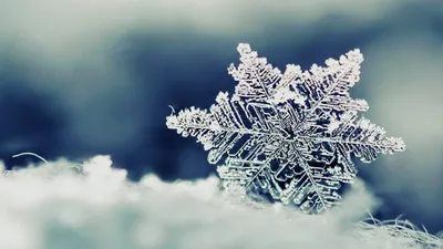 Обои зима | Записки СисАдмина | Дзен