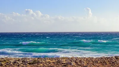 Обои море, океан, берег, пена картинки на рабочий стол, фото скачать  бесплатно