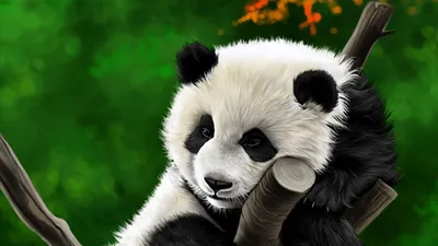 Обои панда, животное, ветка, арт картинки на рабочий стол, фото скачать  бесплатно