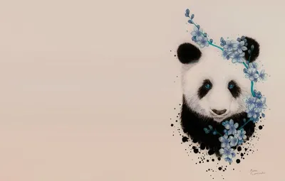 Милая панда арт - 84 фото