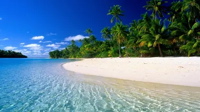 Пальмы, пляж, море, рай обои для рабочего стола, картинки, фото, 1920x1080.