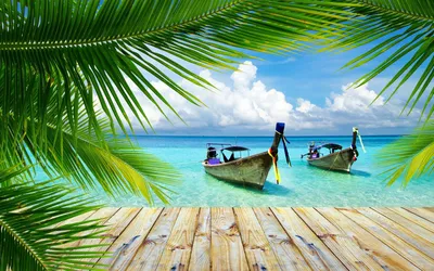 Скачать обои Tropical Beach Sea and Sky, Tropical, Пляж, Море, Небо в  разрешении 2560x1440 на рабочий стол