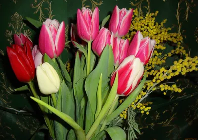 Обои Цветы Тюльпаны, обои для рабочего стола, фотографии цветы, гладиолусы,  8, марта, букет, настроение Обои для рабочего стола, скачать обои картинки  заставки на рабочий стол.