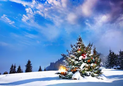 Обои \"Зима и Новый год\" - настроение праздника на рабочий стол! | Снежинки, Новый  год, Картинки