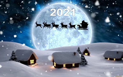 Картинки новый год, зима, снег, огни, Елки - обои 1920x1080, картинка №11558
