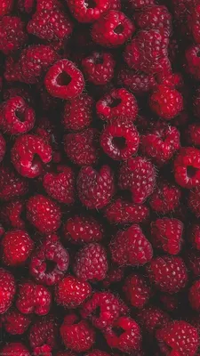 Обои на телефон фрукты, овощи и ягоды | Iphone wallpaper, Wallpaper, Berries