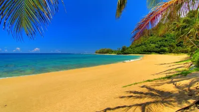 Обои пляж, море, тропическая зона, Карибский бассейн, океан на телефон  Android, 1080x1920 картинки и фото бесплатно