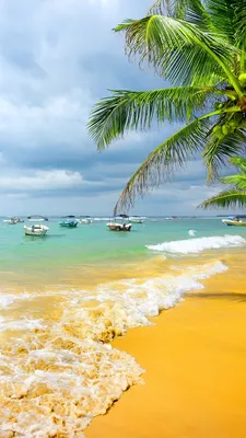 Фотографии пляжа Море Природа пальм Тропики Побережье 1080x1920