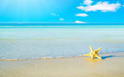 Пляж, Природа, Море - обои на телефон | ТОП Бесплатные Скачать фото