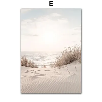 Бесплатные стоковые фото на тему море, пляж, серфинг, человек