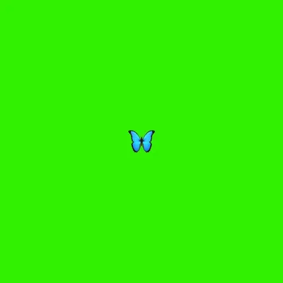 Эмоджи на зеленом фоне | Зеленые фоны, Рисунки пузырями, Зелень