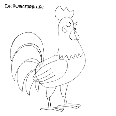 Набор нарисованных вручную петуха и курицы порода golden laced wyandotte |  Премиум векторы