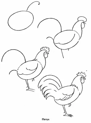 Нарисованная рукой иллюстрация петуха плана Doodle Декоративный в стиле  Zentangle Иллюстрация вектора - иллюстрации насчитывающей цыпленок, перо:  74946545
