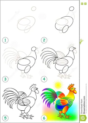 Рисунок куриного петуха, нарисованные вручную линии куриных цыплят,  акварель, еда, животные png | Klipartz