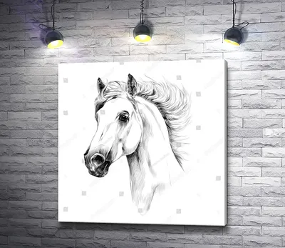 Нарисованные лошади - красивые фото