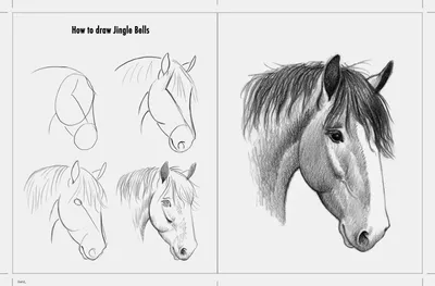 Нарисованная картина карандашом лошадь…» — создано в Шедевруме