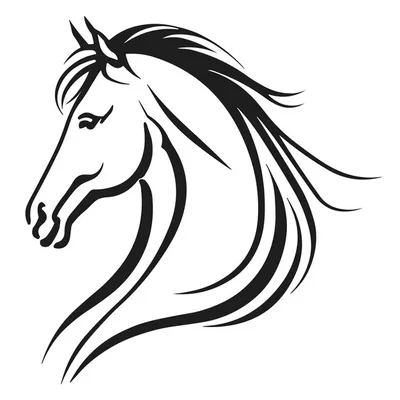 Векторный Бесшовный Рисунок Нарисованного От Руки Каракуля Пород Лошадей —  стоковая векторная графика и другие изображения на тему Лошадь - iStock