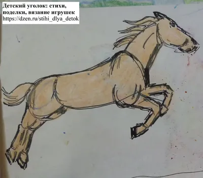 Нарисованные от руки фотографии в рамке с лошадьми - TenStickers