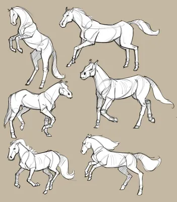 Собрание лошадей вектора нарисованных рукой Иллюстрация вектора -  иллюстрации насчитывающей классическо, геральдический: 39506424