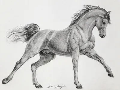 Лошадь - Demiart
