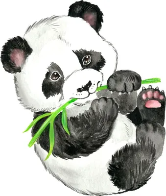 Нарисованная рукой милая панда национального сокровища изображение_Фото  номер 649832898_PSD Формат изображения_ru.lovepik.com