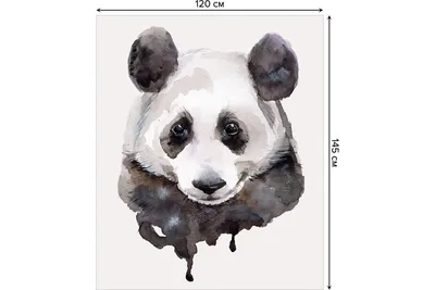Как нарисовать панду карандашом поэтапно | DRAWINGFORALL.RU