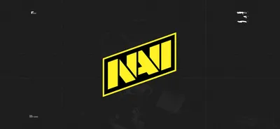 Changes in NAVI CS:GO roster - Natus Vincere