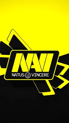 1:1 Interview With Navi CS:GO Pro, electronic - Plarium
