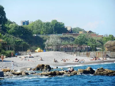 Нудистский пляж на Вилянове посещают сотни отдыхающих – что их привлекает?  | The Warsaw