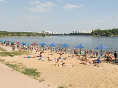 нудистский пляж в Даме Германи Редакционное Фото - изображение  насчитывающей отдых, культура: 230905291