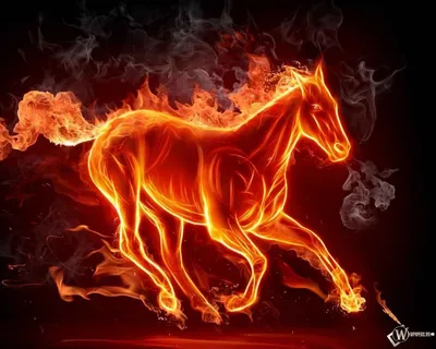 Картинки огненной лошади