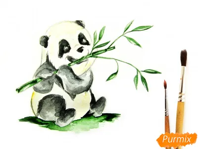 Как нарисовать панду: | Как рисовать животных поэтапно. | ВКонтакте
