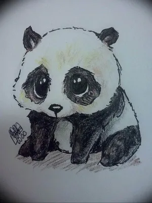Панда, рисовать животных, Vectore Иллюстрация вектора - иллюстрации  насчитывающей иллюстрация, одичало: 75105922