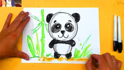 Как нарисовать панду карандашом поэтапно | DRAWINGFORALL.RU