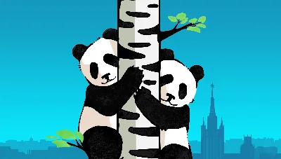 Реклама к приезду панд в Московский зоопарк
