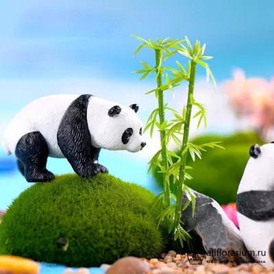 Что едят панды, чем они питаются в природе - Животное панда: энциклопедия,  все про панду!