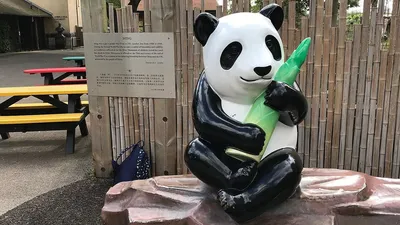 Купить Миниатюры животных панды украшения автомобиля панда украшение  центральной консоли автомобиля украшение дома | Joom