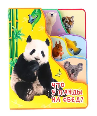 Настоящее чудо: как живет и развивается детеныш панды в Московском зоопарке