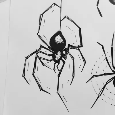 Картинки пауков нарисованных